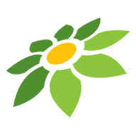 APK MOD CANVA